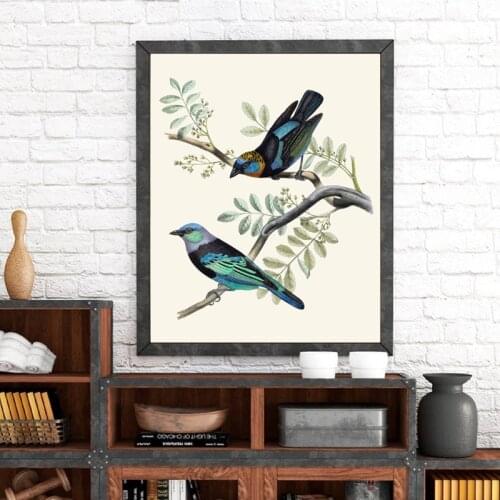 Birds Print Golden Hooded and Masked Tanagers Vintage Illustration Poster Bird Wall Art Painting Retro poster kraft paper