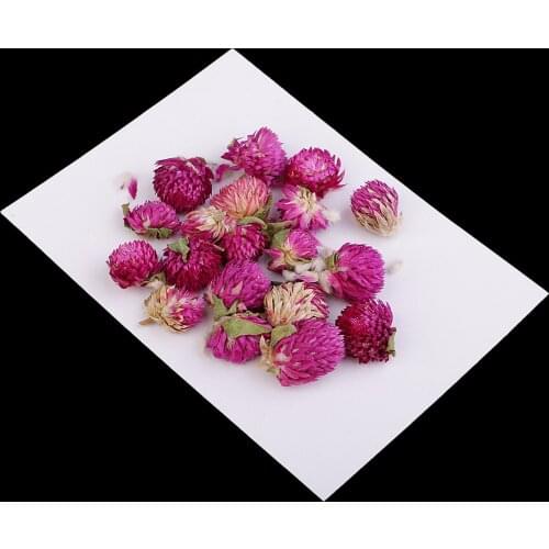 20 Pieces Pressed Flowers Dried Gomphrena Globosa DIY Resin Casting Pendants Jewellery Findings ,Candles, Soap Making Supplies