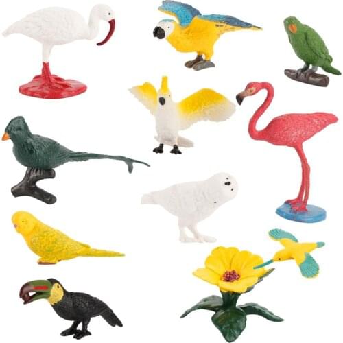 10 Pack Mini Bird Model Realistic Plastic Animal Figure Parrot Hummingbird