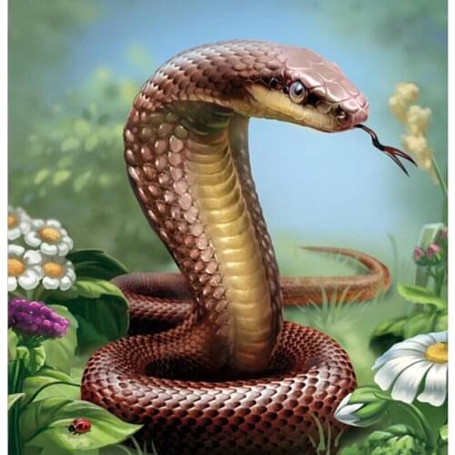 Cobra 5D DIY diamond embroidery pictures decor Full mosaic kit round Rhinestones diamond painting cross stitch Craft gift AS066