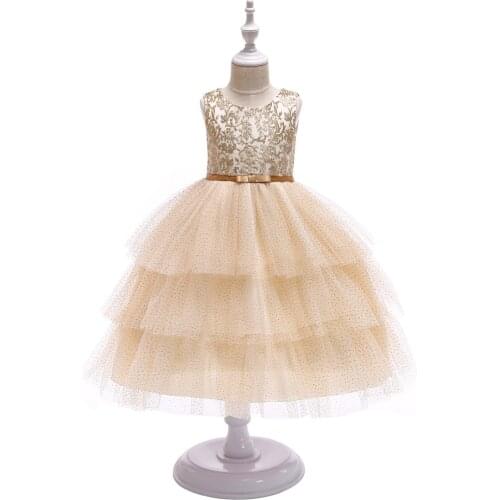 Kids Dresses for Girls Gold Thread Embroidery Elegant Party Dress for Girls Wedding Dress for Toddler Girls Thankgiving Clothes