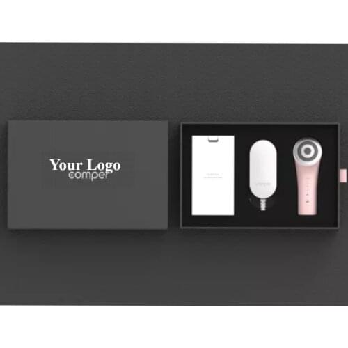 Portable Accelerating Rebirth Multi-Functional RF LED MASS EMS Multi Light Beauty For Home Use Beauty Instrument