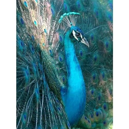 GATYZTORY 40×50CM Frameless Painting By Numbers Beautiful Peacock Animals On Canvas Pictures By Numbers Home Decoration