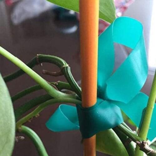 Plant Stretch Tie Tape Multi-Purpose Reusable Flower Plant Fixing Band for Garden Courtyard Greenhouse JS22