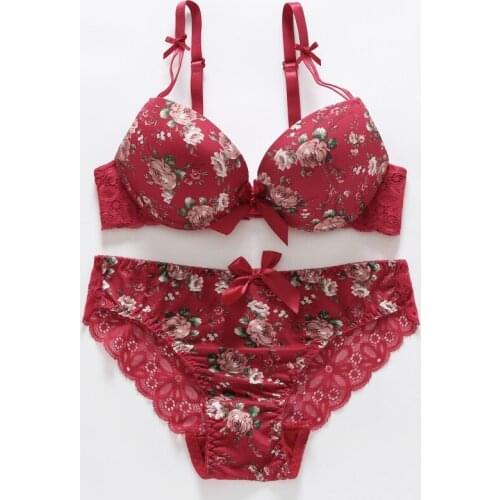Women Floral Bras Embroidery Lingerie Set Sexy Push Up Thin Padded Bow Bra Panty Set
