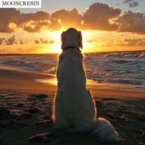 Diamond Embroidery Diy Diamond Painting Cross Stitch Kits Mosaic Animal Dog See The Sunset Needlework Home Decoration Accessorie