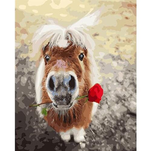 Lovely Animal Framed Pictures DIY Painting By Numbers DIY Oil Painting On Canvas Home Decoration Wall Art GX26134 40X50CM