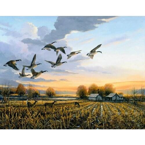 Diy Diamond Painting Wild Duck Embroidery Mosaic Animal Picture Diamond Painting Cross Stitch Landscap Needlework Living Room
