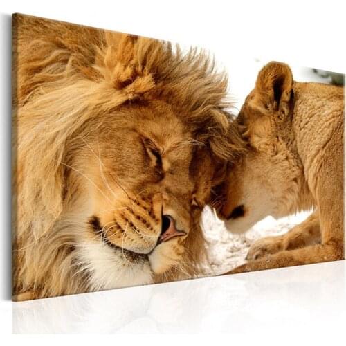 Full Diamond Painting black and white animal Diy Round Diamond Embroidery lion Picture Mosaic Decoration For Home HobbyZP-3605