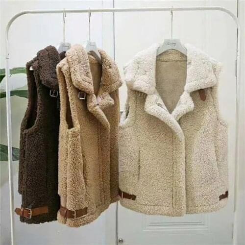 Autumn Winter Imitation Lamb Wool Vest Jacket Womens Thicken Warm 2021 Korean Fashion Loose Waistcoat Sleeveless Plush Jacket