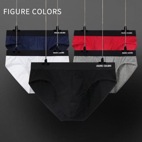 Figure Colors Men's Briefs
