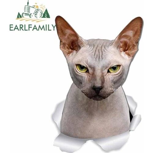 EARLFAMILY 13cm x 8.8cm For Sphynx Cat Graffiti Car Sticker Sunscreen Decal Funny Vinyl Material Personality Occlusion Scratch