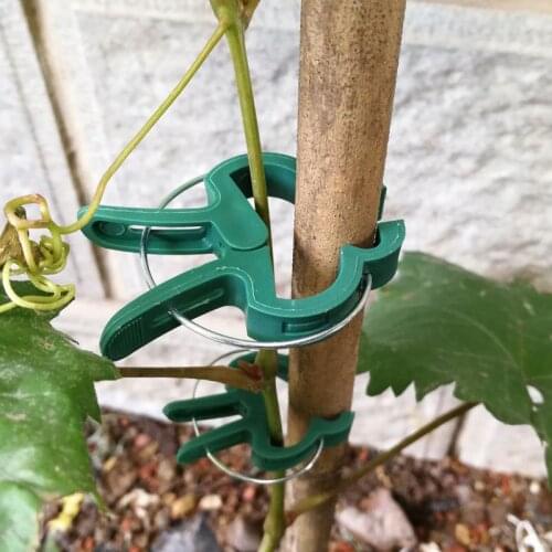 10/20/30pcs Garden Plant Gripper Clips Plant Support Clips for Greenhous Vegetable Flowers Stem Vines Grape Clamp Fastener