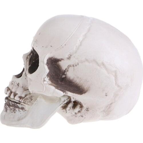 2021 New Plastic Human Mini Skull Decor Prop Skeleton Head Halloween Coffee Bars Ornament