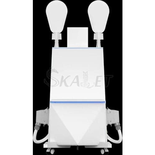 Newest 2in1 EMS Electromagnetic Muscle Builder Abs Stimulation HIEMT Body Contouring Air Cooling Sculpting Device