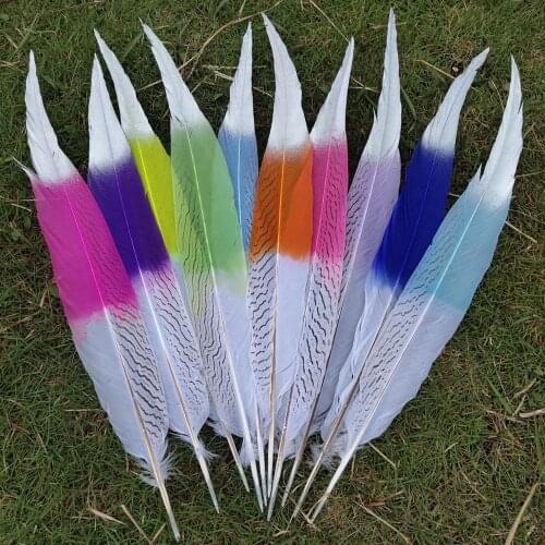 Multicolor 100pcs Wholesale Beautiful Silver Pheasant Feathers 40-45cm/16-18inches Stage Performances Decoration