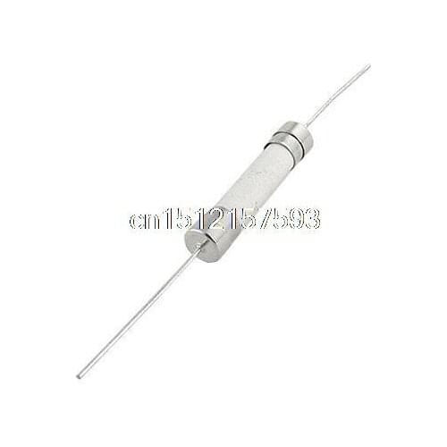 10 x Slow Blow 6.3 x 32mm Axial Ceramic Fuse 30A 250V