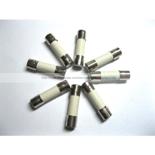 100 Pcs Fast Blow Ceramic Fuses 1A 250V 5mm x 20mm