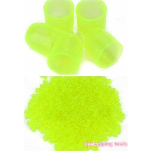 Brand new 1000pcs plastic yuwang cup beekeeping cup royal jelly cup queen bee feeding equipment feeding tool