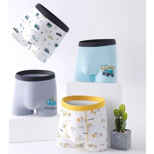 2-12Y Childrens Panties For Boy Boxer Briefs Cartoon Girl Underwear Kids Underpants Teenager Printing Soft Shorts For Boy 2pcs