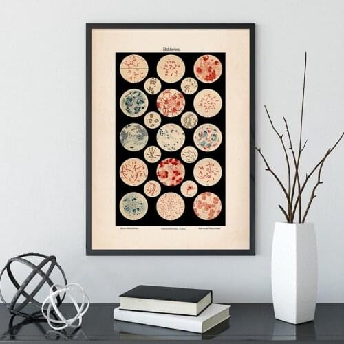 Wall Art Canvas Microbiology Bacteria Microbe Art Print Old Medicine Poster Science Painting Picture Biology Study Vintage Decor