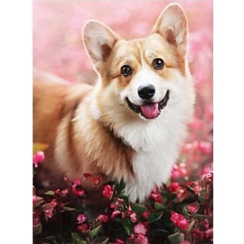 Puppy picture Diamond embroidery full drill Diamond painting Welsh Corgi diy diamond Cross Stitch Rhinestone mosaic decor L645
