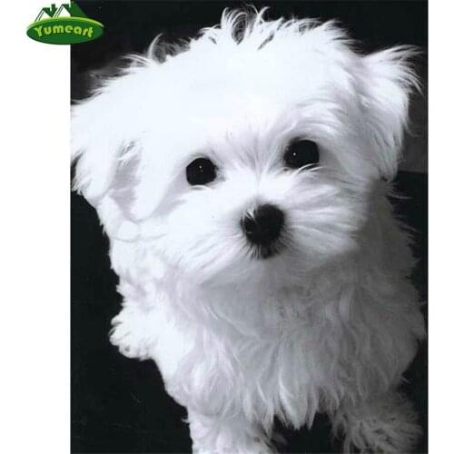 Diamond Mosaic Wihte Maltese Diamond Embroidery Cross Stitch Diy Diamond Painting Square Drill Picture of Rhinestone Home Decor