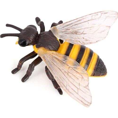 Plastic Kids Insect Bee Growth Life Cycle Figures Education Learning Toys