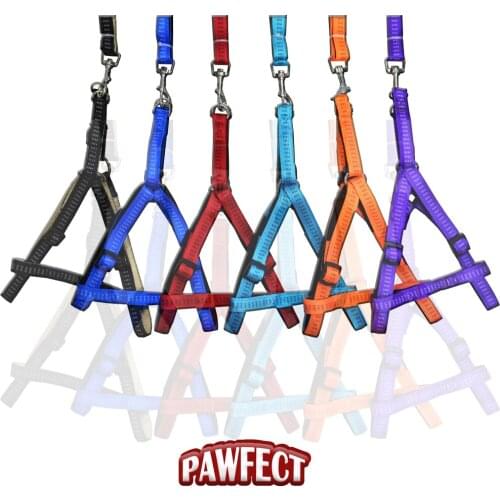 Reflective Colorful Polyeste Dog Harness Pet Walking Harness Lesh Chihuahua for Dog Small Larger Pet Accessories Random Color