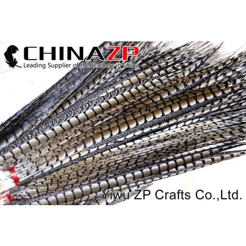 CHINAZP Feather Extra Money Order 70-80cm(28-32inch) Length Top Quality Natural Lady Amherst Pheasant Tail Feathers