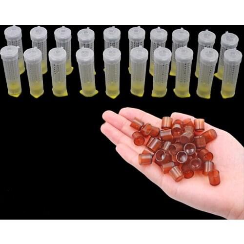 1Set Beekeeping Queen Rearing System Plastic Bee Protection Cover Protective Cell Brown Cells Bees Tools Apiculture Bee Supply