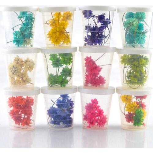 Hot Sales!! 1 Bunch Pressed Dried Flower Branch Specimen Epoxy Resin Art Craft DIY Accessory