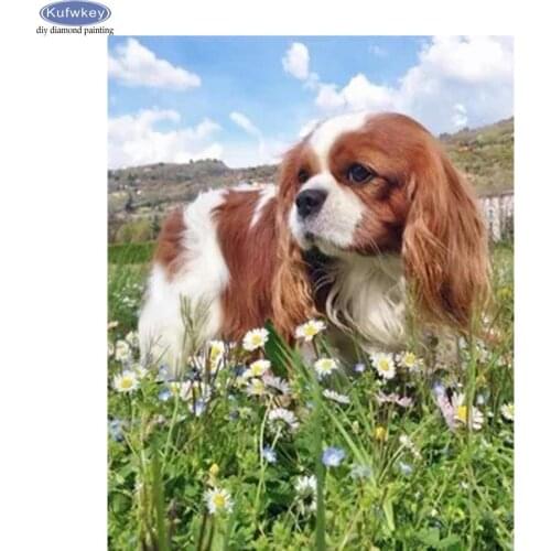 Diy 5d Square Drill Diamond Painting Cross Stitch Cavalier King Charles Spaniel Diamond Embroidery Animal Mosaic Home Decoration