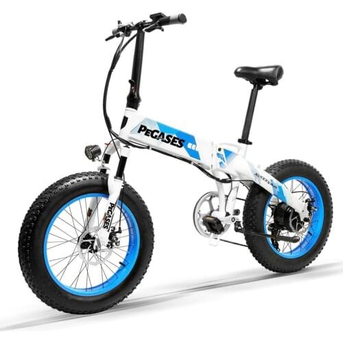 LANKELEISI Electric Foldable 20 inch Bicycle 1000W Motor 13AH LG Lithium Battery for professional rider 5 Level Pedal Assist