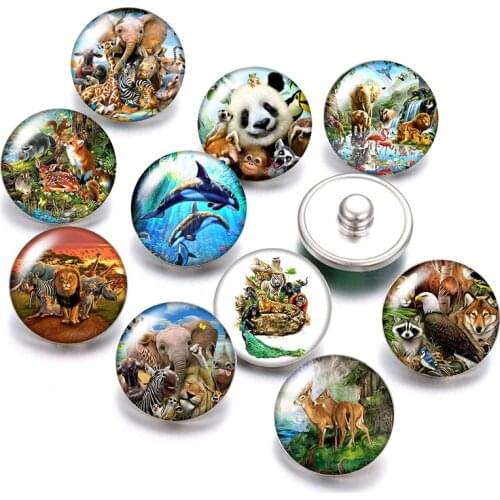 Cute wild animals whale Panda elephant 18mm snap buttons 10pcs mixed round photo glass cabochon style for 18mm snap jewelry