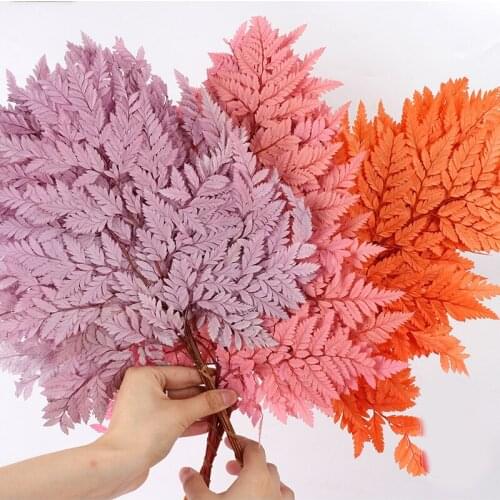10Pcs Natural Driend Flowers Ferns Fresh Plant Eternal Flower Leaves Leaf Wedding Marriage Decoration Party Home Accessories