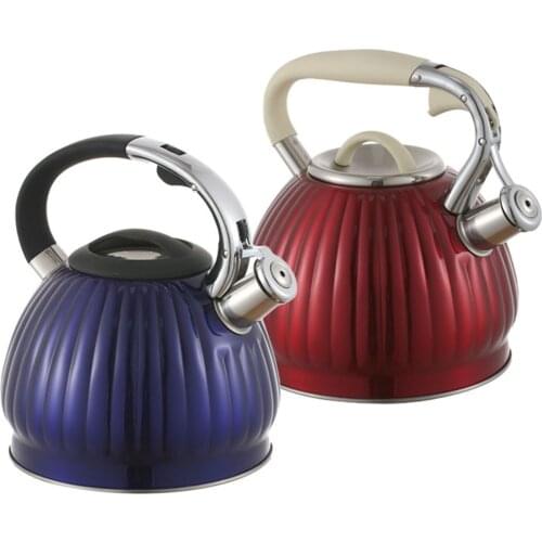 Whistling Kettle For Gas Stove Bouilloire 3L Stainless Steel Whistle Tea Kettle Water Bottle