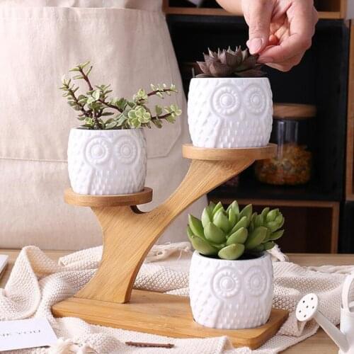 1 Set Simple White Succulent Plant Flower Pot Holder Ceramic Owl Pattern Pot Treetop Shaped Bamboo Shelf Pot Planter Set
