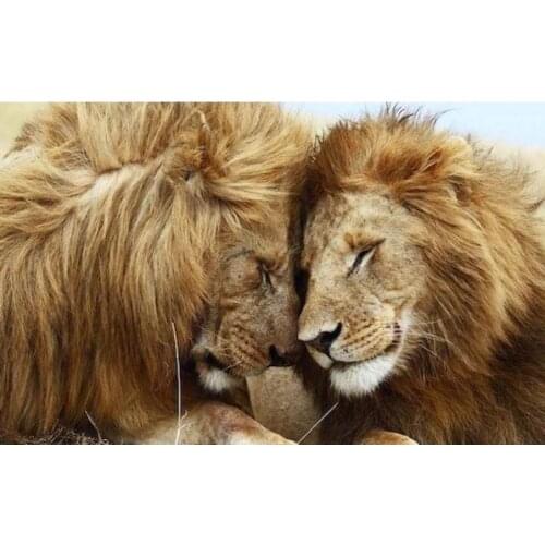 Full square diamond painting lions animals embroidery mosaic diamond dotz 5d rhinestone picture puzzle toy drawing wall decor