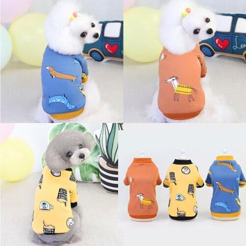 Pet Thickened Two Leg Sweater Teddy Pet Dog Warm Clothing New Coat for Puppy Dogs Dog Costume Designer Dog Clothes
