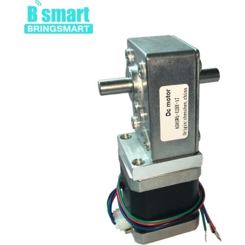 Bringsmart Worm Stepper Motor A58SW-42BYS 12v 24v Reducer With Mini Self-lock Gearbox Ratio 1:50 Double Shaft Electric Motor