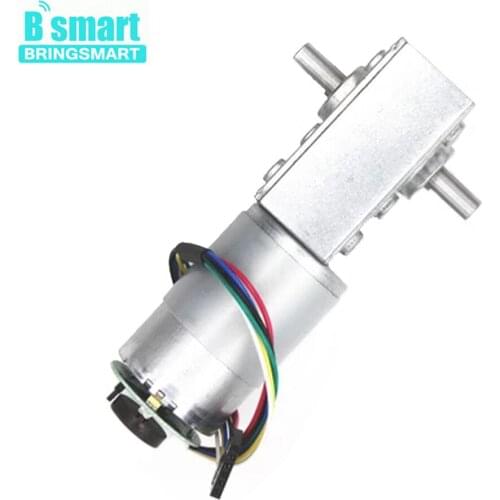 Bringsmart Large Torque DC Encoder Motor 5840-555B 24V Worm Gear Motor 16rpm Double Shaft DC Turbine Reducer Motor Encoder 12V