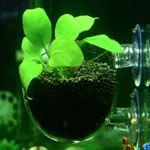 VIV Crystal Glass Int-Polka-shaped Cultivating Landscape Cup aquarium tank decoration