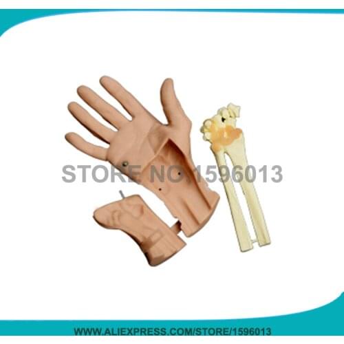 Advanced Wrist Arthroscopy Model, Medical Examination Training Hand Joint Model