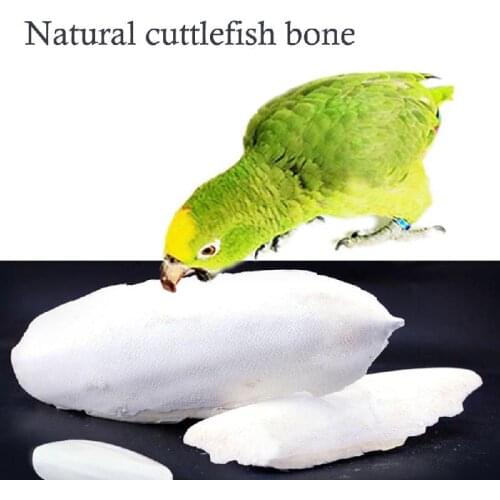 1 Hot Sale Bag Cuttle Fish Cuttlefish Bone For Pet Calcium Budgie Tortoise Food Reptiles Health Birds Care Bone Cuttlefish E7N1