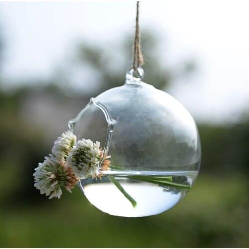Diameter=12cm Middle Size Glass Vase Home Decorative Flower Open Hanging Terrarium Wedding Live Prop