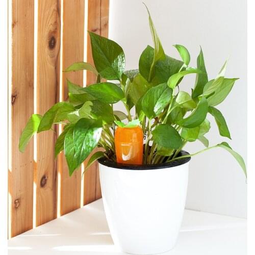 5pcs Automatic Plant Watering Device Watering Drip Head Household Landscaping Plants Drip Irrigation Travel Water Seepage Device