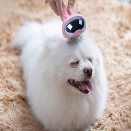 Space Cat Stainless Steel Comb Massage Needle Comb Pet Hair Removal Cleaning Comb cat And Dog General Cleaning Tool