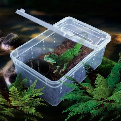 Hot Sale Transparent Plastic Box Lizards Insect Reptile Transport Breeding Live Food Breathable Feeding Box