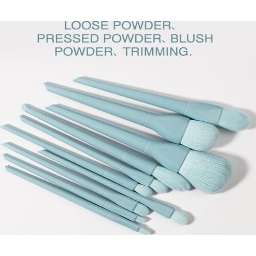 Explosions 10 Makeup Brushes Set Fiber Soft Hair Powder Blush Eye Shadow Brush Multifunctional Beauty Brush With Brush Package